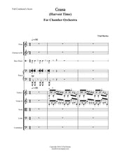 Load image into Gallery viewer, Coasa (Harvest Time)