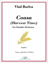 Load image into Gallery viewer, Coasa (Harvest Time)