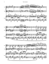 Load image into Gallery viewer, Dans Capriciu (Violin, Viola and Piano)