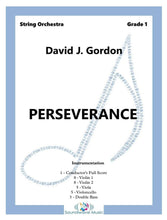 Load image into Gallery viewer, Perseverance