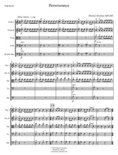 Load image into Gallery viewer, Perseverance