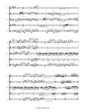 Load image into Gallery viewer, Spring Rounds