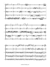 Load image into Gallery viewer, Spring Rounds