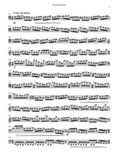 Load image into Gallery viewer, Sonata-Fantasia for Violoncello Solo
