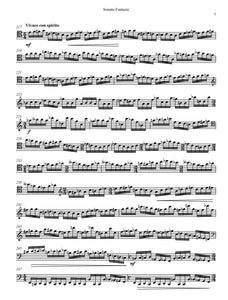 Sonata-Fantasia for Violoncello Solo